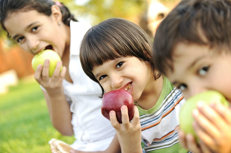 Healthy Snacks for Kids You Don’t Have to Worry About